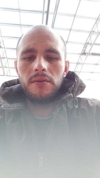  Soltau,   Ion, 37 ,   , 