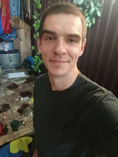  --,   , 33 ,   ,   