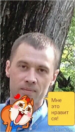   ,   , 45 ,   