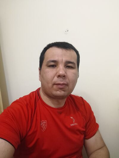  ,   Ozodov, 33 ,   ,   