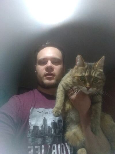   ,    , 29 ,   ,   , c 