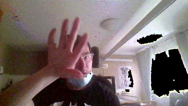  Dinard,   Morgan, 31 ,   ,   