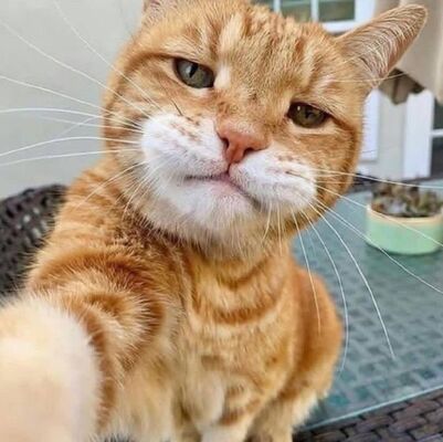  ,   Junior__, 20 ,   ,   