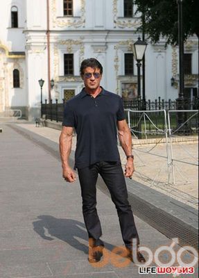  ,   Stallone, 31 ,   ,   , c 