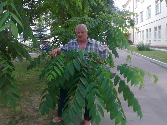  ,   Vladimir, 72 ,   ,   , c 
