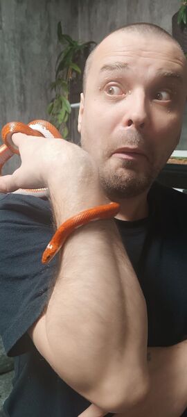  ,   , 42 ,   ,   , 