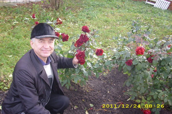   ,   , 61 ,   ,   , c 