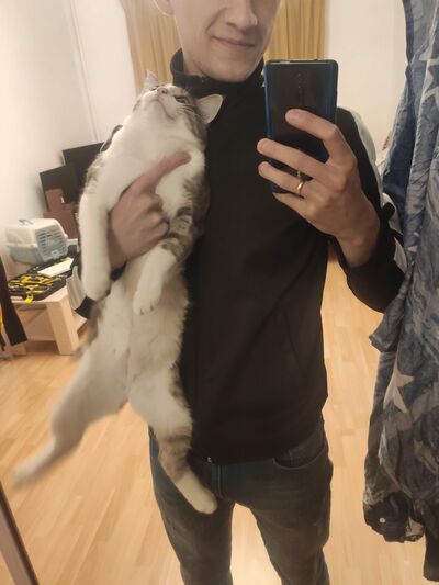  ,   , 28 ,   ,   , 