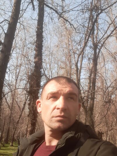  ,   , 43 ,     , 