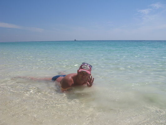  ,   Dim, 51 ,   