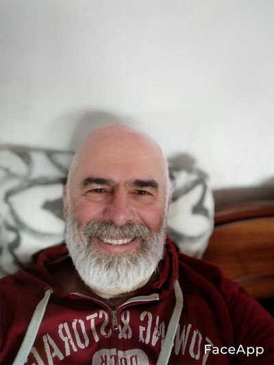  ,   Harley, 49 ,   ,   