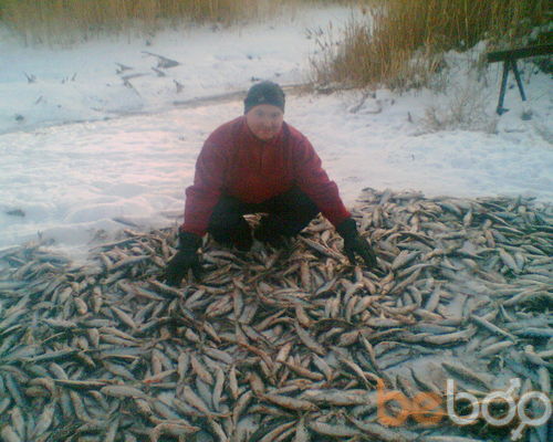 ���������� ���������, ���� ������� ������, 43 ����, ������������ ��� ������