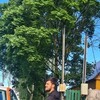   Baxa