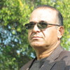   sham