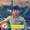   qodir