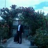   Roman