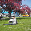  ,  Abror, 37