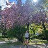  Krosno Odrzanskie,  Elena, 50