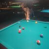   Yuriy