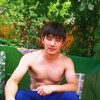   Damir