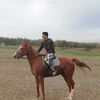   Joseph
