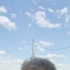  ,  , 38