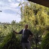  ,  , 50