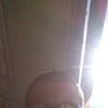   Andrej