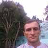   Zaur