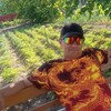  Vitaly