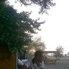   hemid