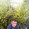   EDIK