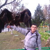  ,   , 31