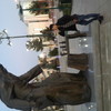  -,  begoo, 36