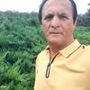   nur