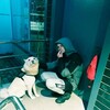  ,  Steeve, 34