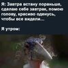  ,  , 28