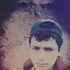   borya