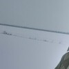   Alexander